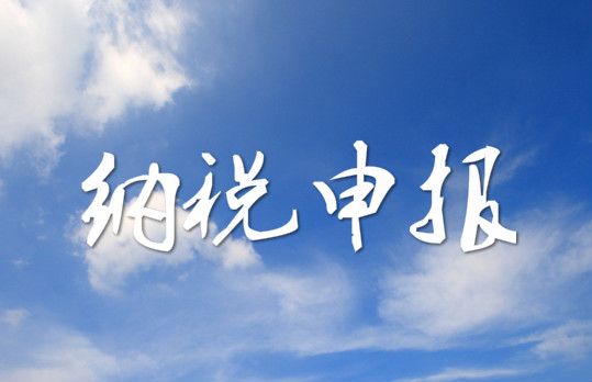 納稅申報(bào)